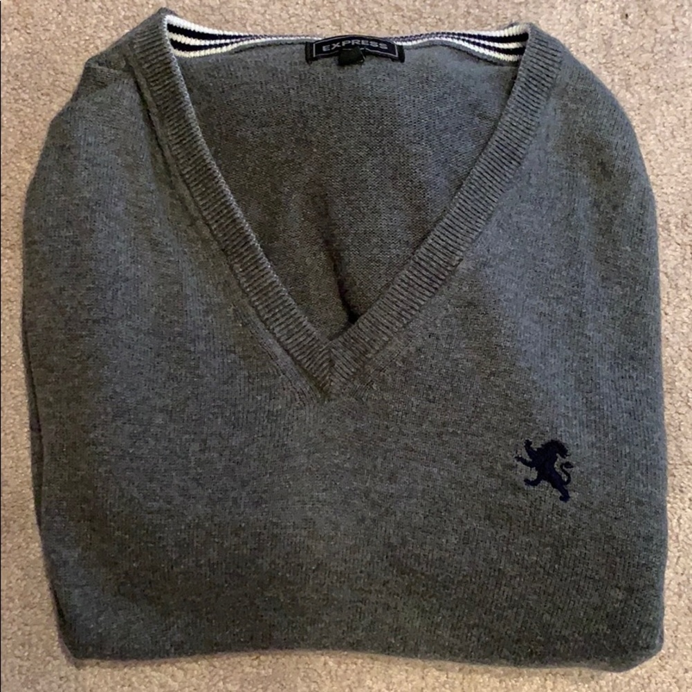 Express grey v-neck sweater